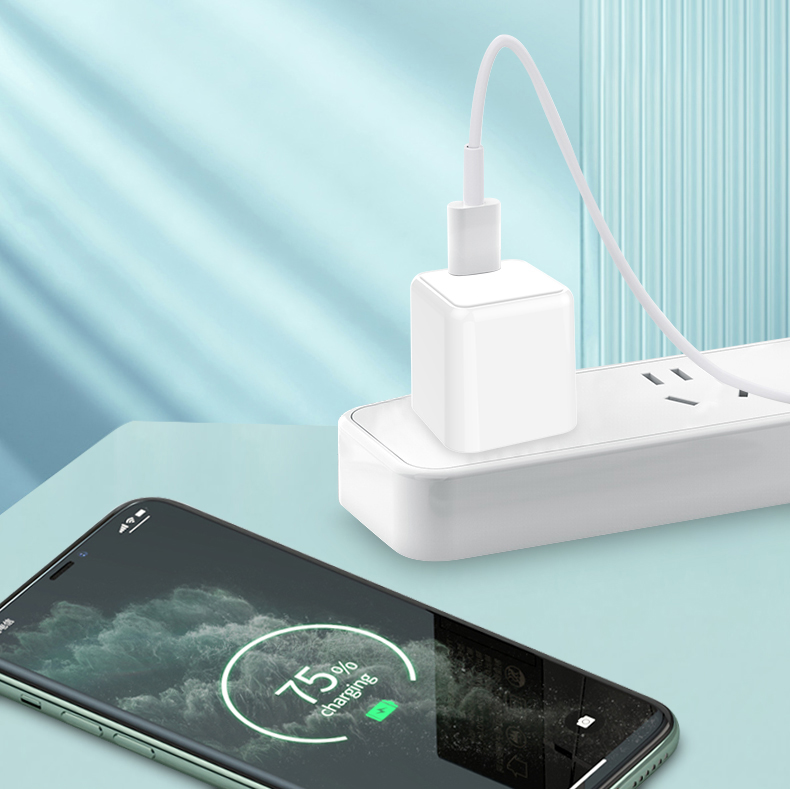 20W PD迷你充電器-ST800 中規(guī)