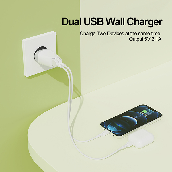 歐規(guī)雙USB旅行充電器-ST260