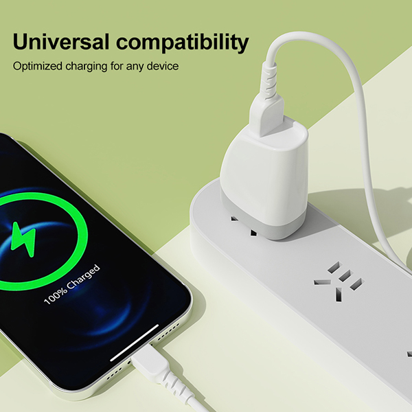 美規(guī)單USB旅行充電器-ST250