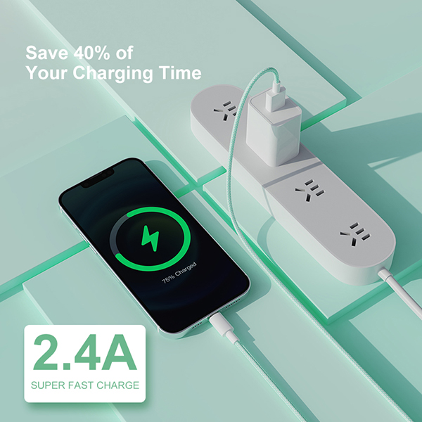 2.4A 雙色編織數(shù)據(jù)線-SA10-I