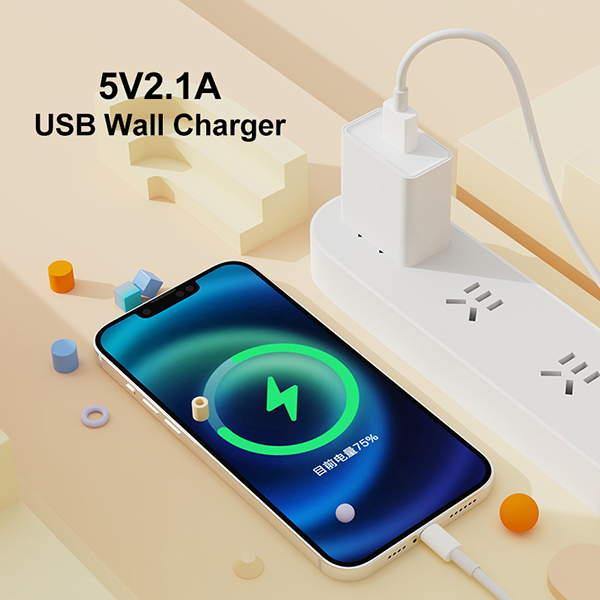 2.1A 單USB旅行充電器-ST601 美規(guī) 2.1A 單USB旅行充電器-ST601 美規(guī)